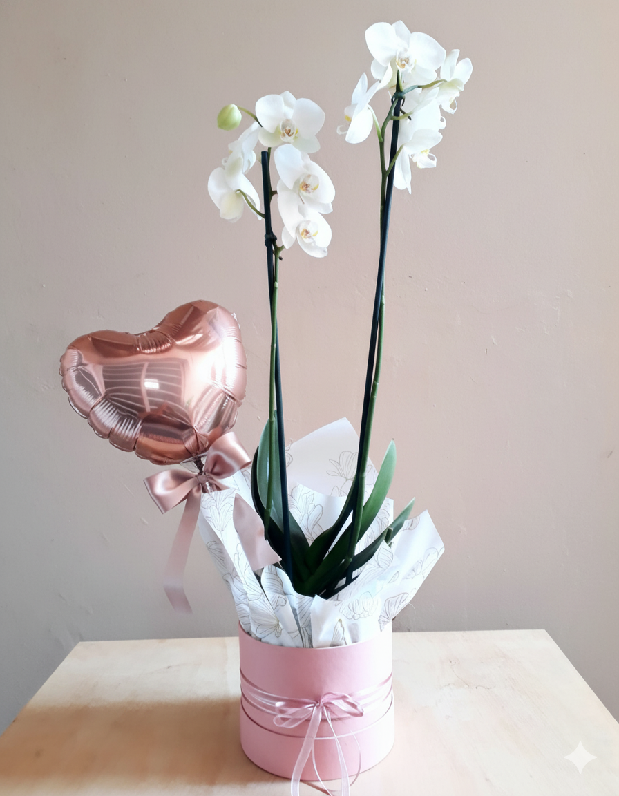 White Orchid