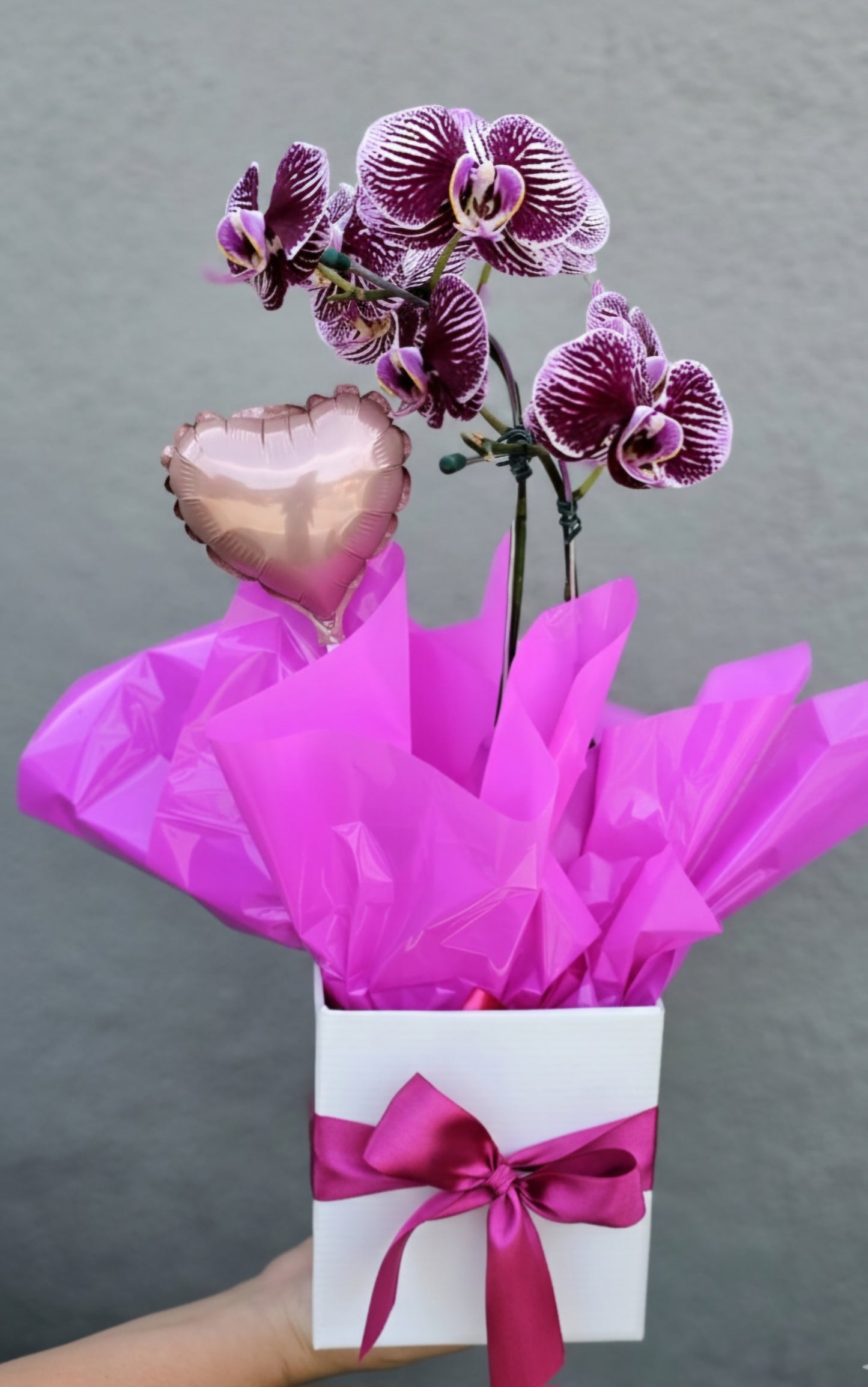Pure Orchid