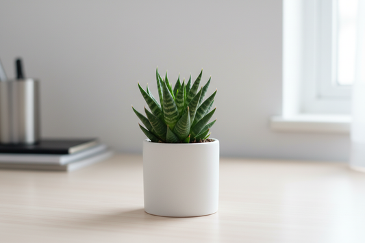 the pot should be smaller and the leaves as well. remove the keyboard